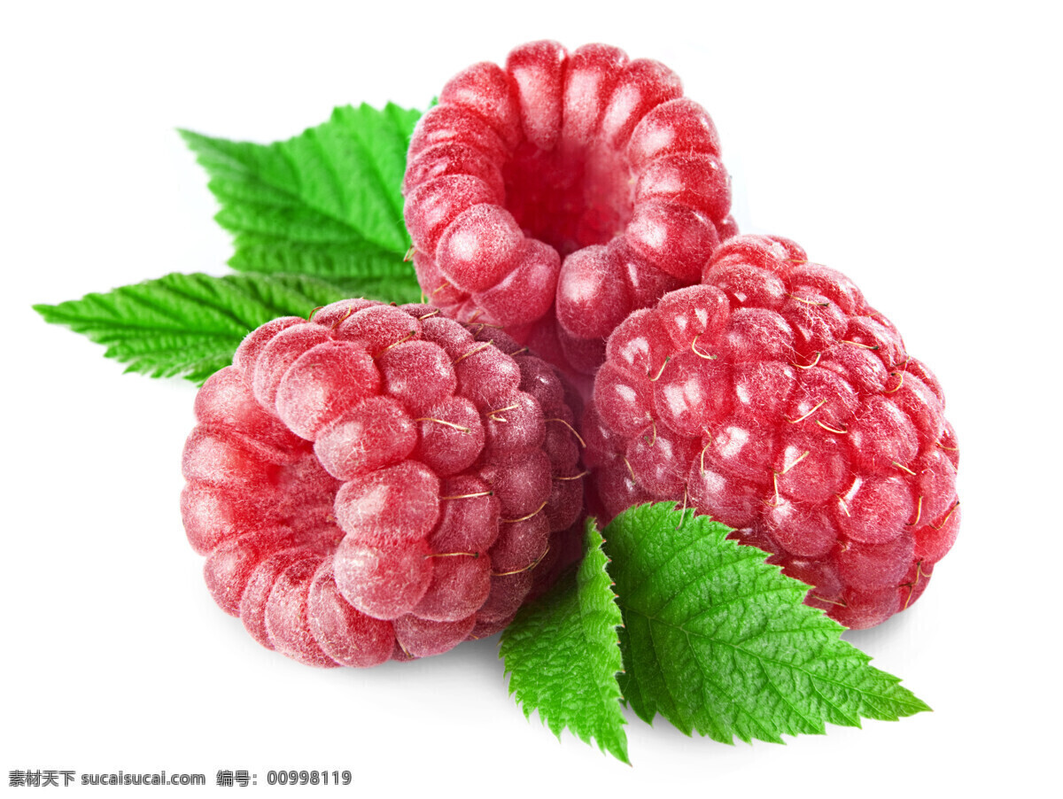 树莓 绿叶 水果 诱人水果 新鲜水果 生物世界