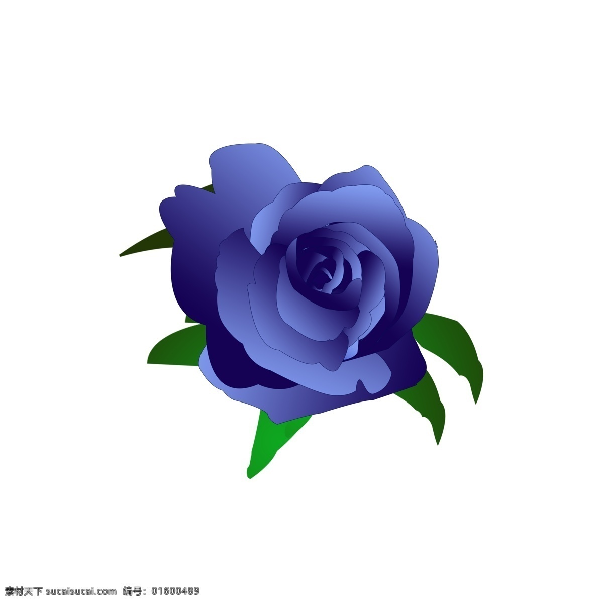 蓝色 妖姬 玫瑰 玫瑰花 元素 蓝玫瑰 蓝色妖姬 玫瑰花朵 手绘花朵 蓝色妖姬玫瑰