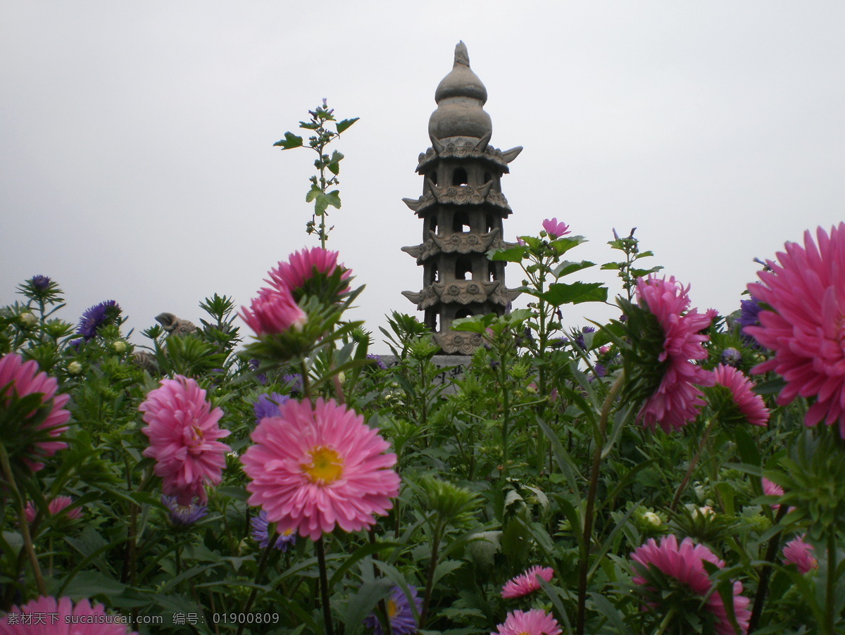 花中之塔 塔 花 自然景观 背景 自然风景 旅游摄影