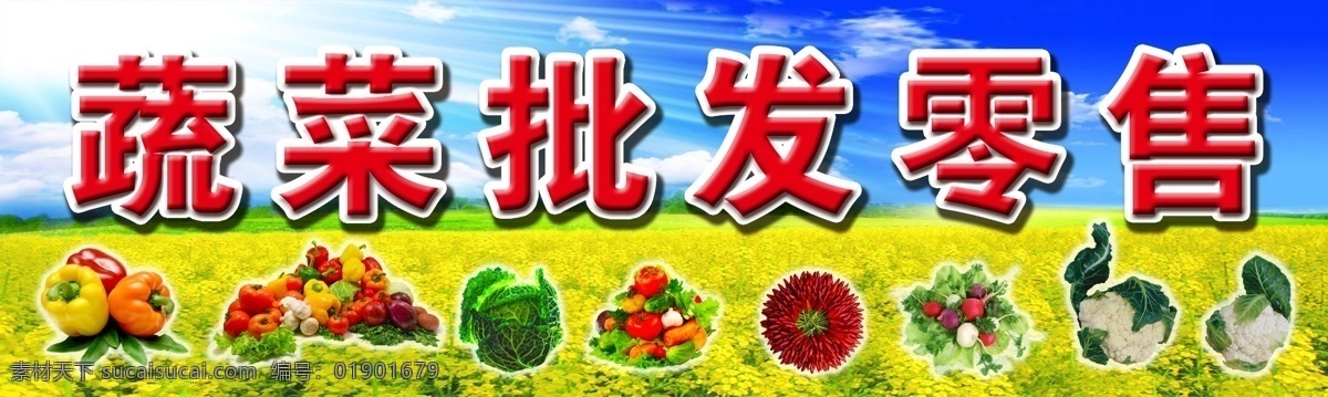 蔬菜批发设计 蔬菜批发门头 喷绘蔬菜批发 蔬菜批发背景 蓝天白云 菜花 辣椒 西红柿 萝卜 蔬菜 展板 其他模版 广告设计模板 源文件