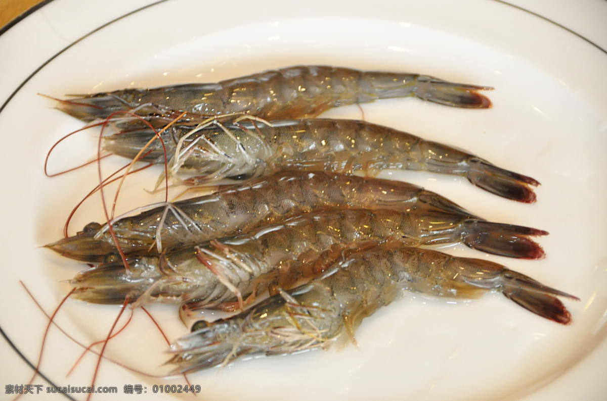 河虾 海鲜 食材 菜谱 原始 食物 贝壳 美食 虾 青虾 海味 河鲜 食物原料 餐饮美食