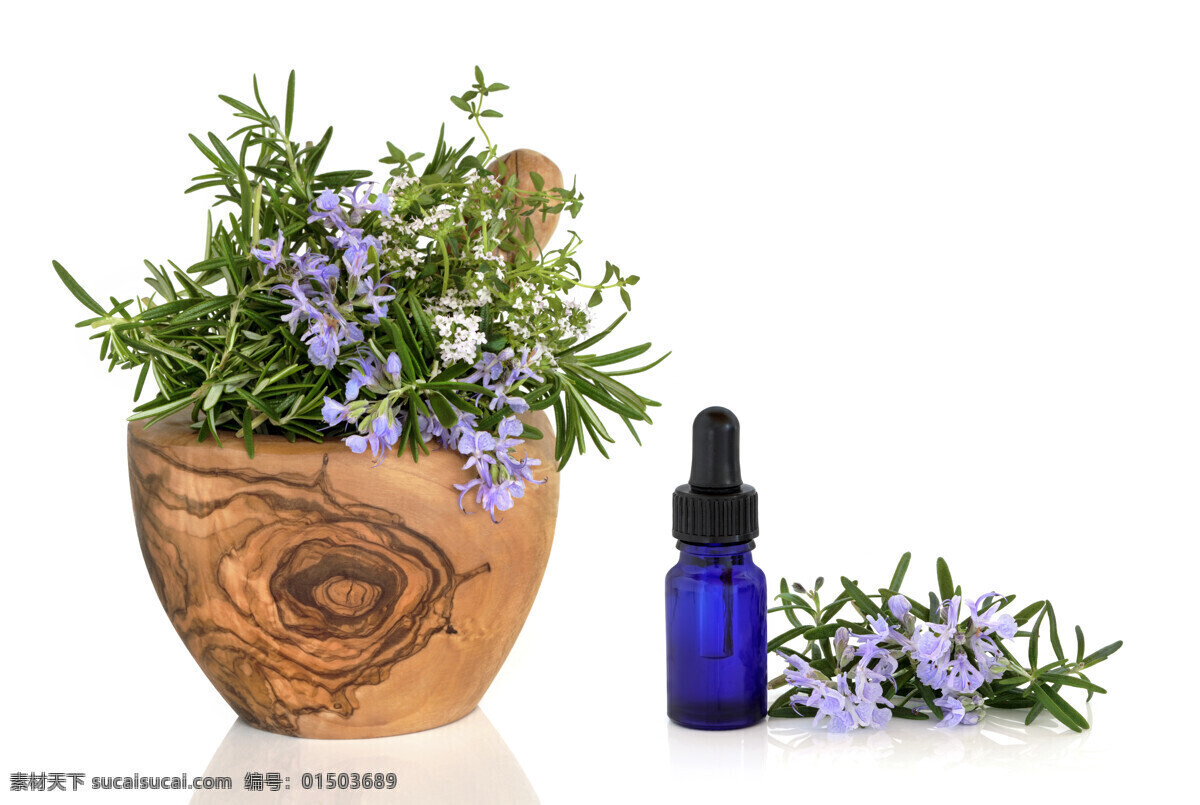 兰花 植物 花朵 spa 精油 花卉 香油 美容精油 spa用品 美容用品 生活用品 生活百科