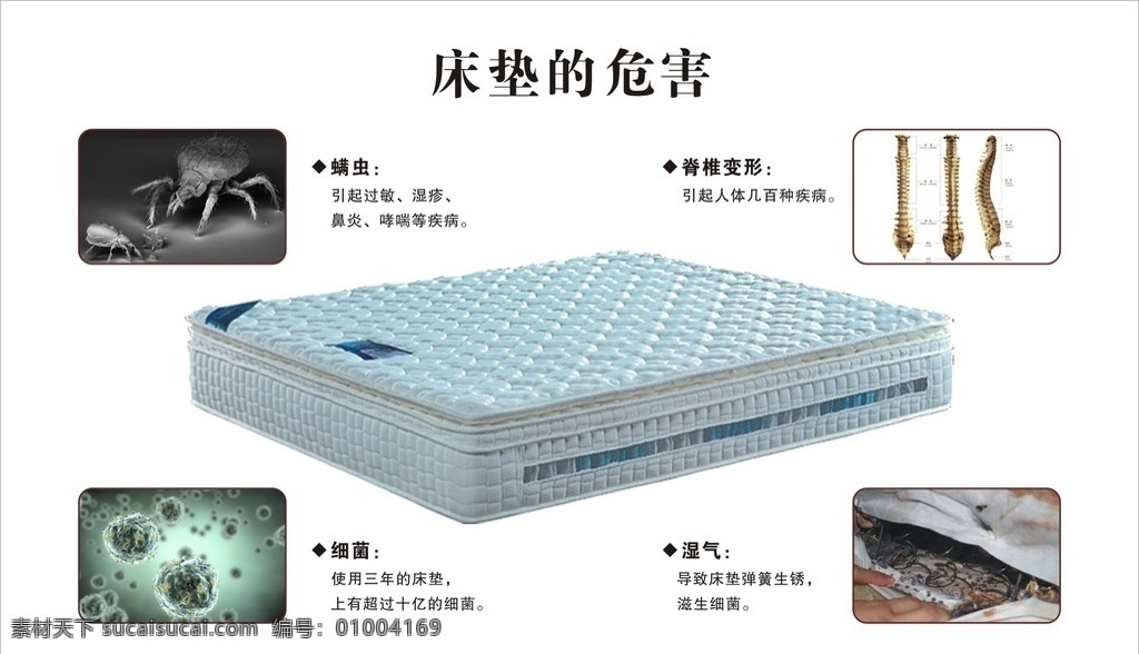 床垫的危害 细菌 螨虫 中脉 床垫