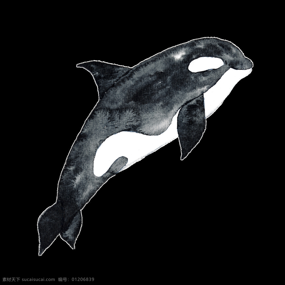 黑色 手绘 海豚 卡通 水彩 透明素材 免扣素材 装饰图案