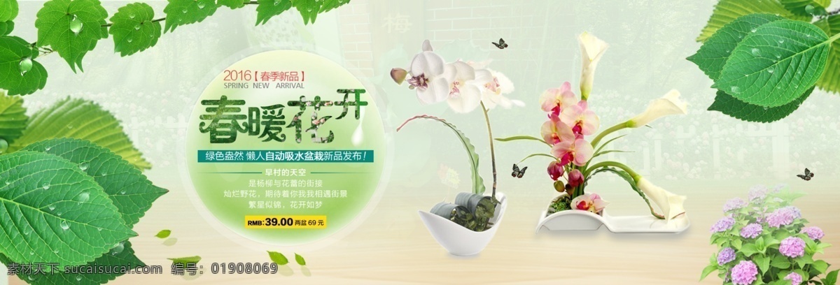 banner 春暖花开 春天 花卉 绿色植物