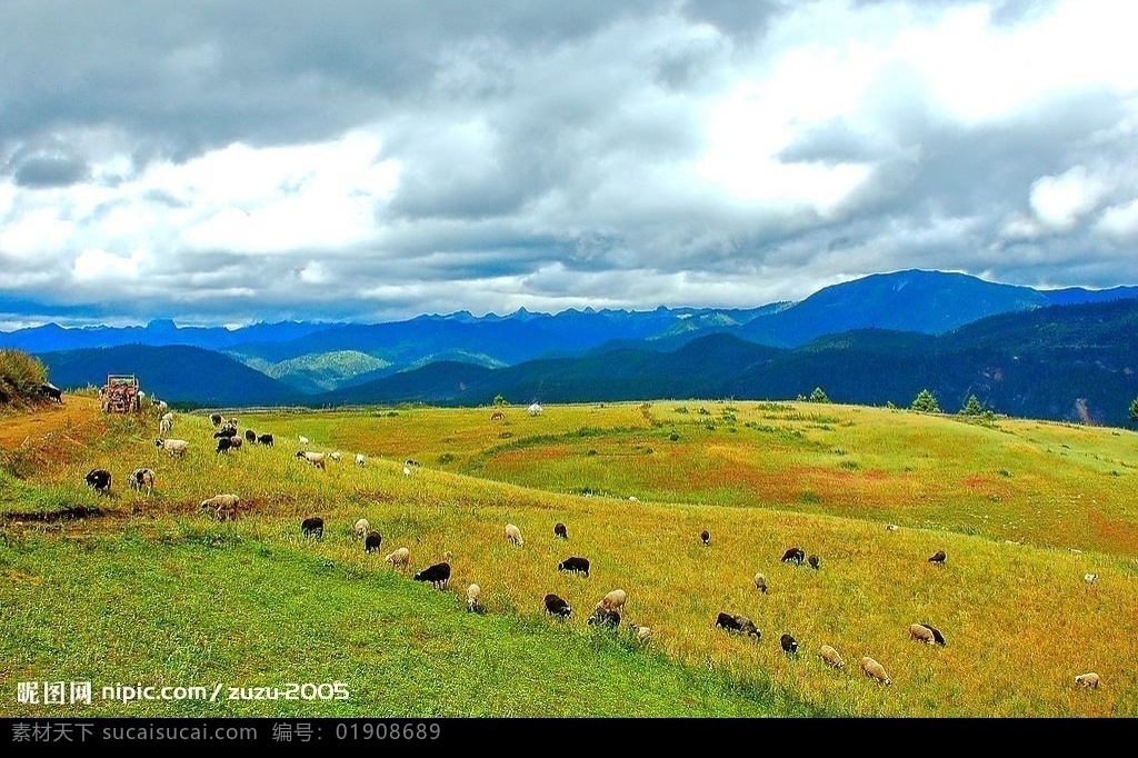 草原牛羊 草原 群山 牛羊 天空 乌云 自然景观 自然风景 摄影图库