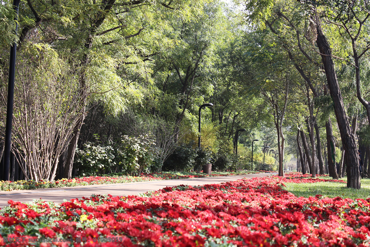 公园风景 景观 绿化 公园 慢跑道 城市绿化 自然风景 自然景观