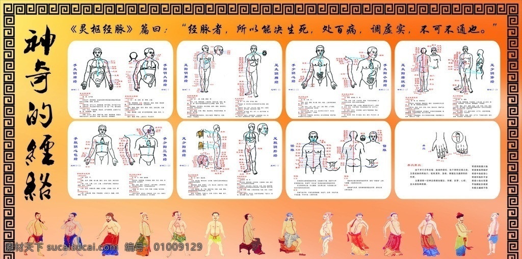 神奇的经络 经络图 经络 中医经络 中医 中医学 人体经络图 人体经络 人体 穴位 穴位图 人体穴位 经络穴位 经络疗法 中医文化 中医理疗 中医保健 经络养生 经络减肥 中医养生 医疗保健 生活百科 矢量