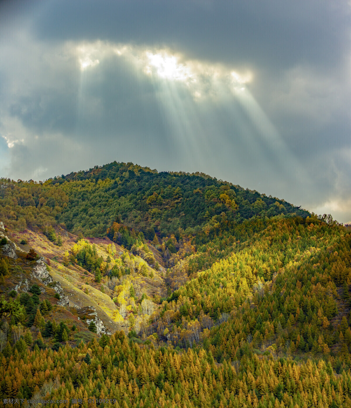 山水风景 风景画 风景壁纸 背景素材 浪漫图片 蓝天白云 风光 大自然 高清 风景图片 白云 清新壁纸 植物图片 自然景观 树木 树叶 道路 草坪 河流 阳光 蓝天 绿水 湖泊 大海 高山 高山河流 草地 大山 大树 树 动物 大自然风景 城市 夜景 国外风景 飞鸟 国外城市