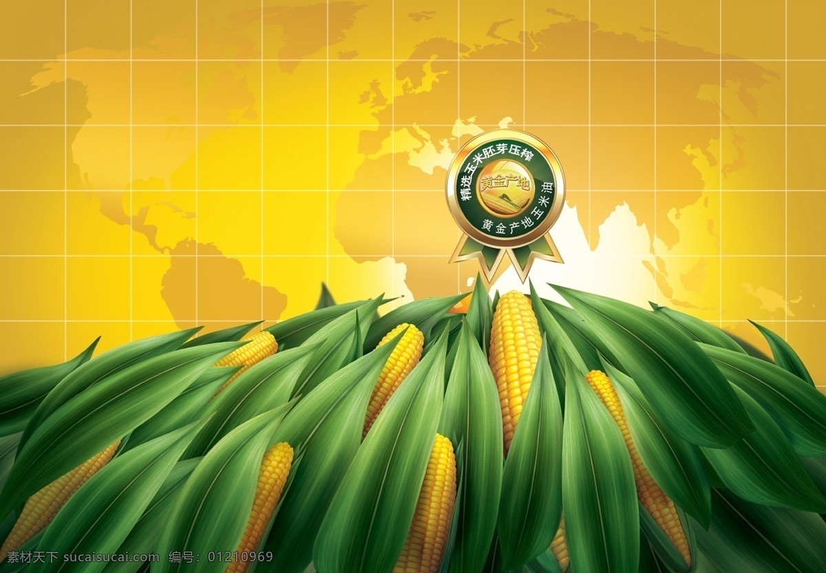 玉米油广告 玉米 玉米油 手绘玉米 玉米油图标