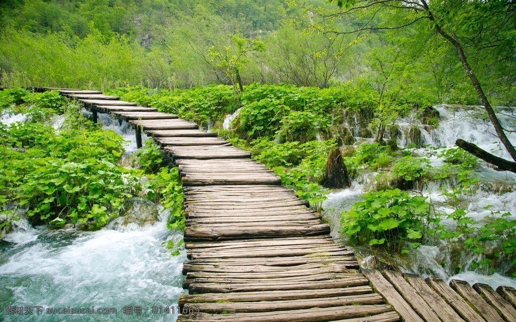 树林 小溪 木桥 风景 小溪风景 溪流 美丽风景 风景摄影 自然美景 自然风景 自然景观