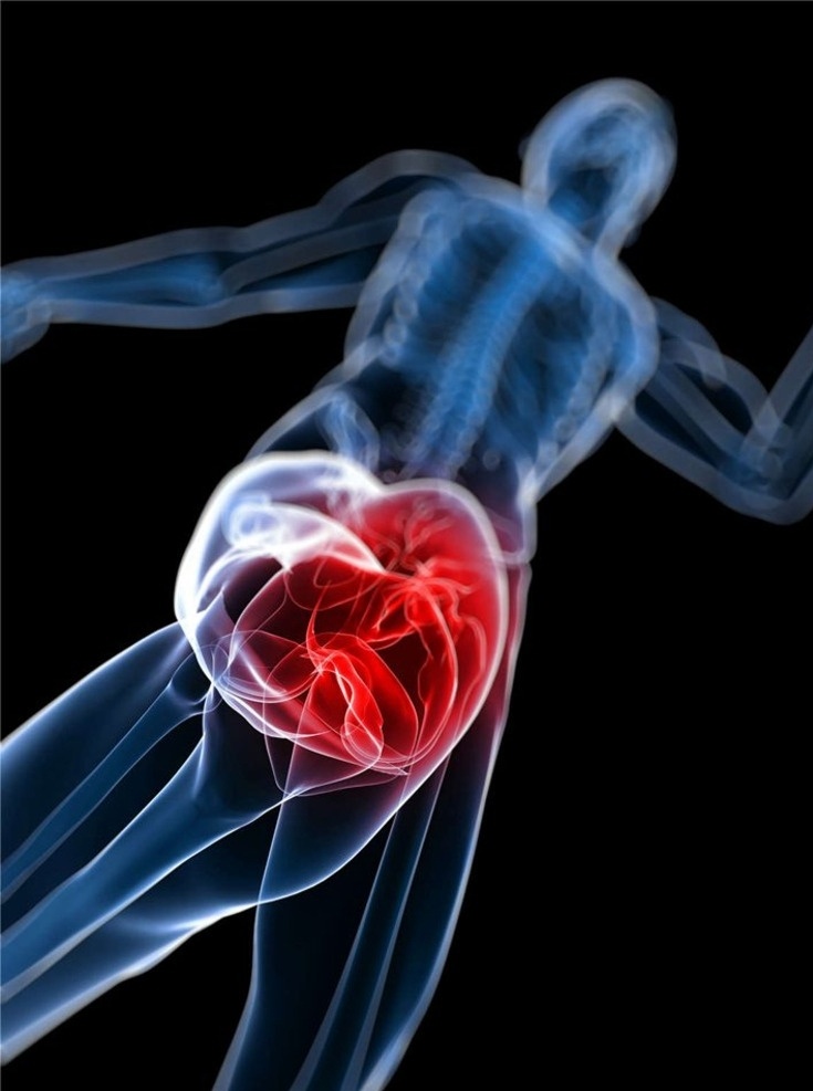 膝盖 人体器官 人体 人体组织 人体结构 医学 医疗 科学 医疗护理 现代科技
