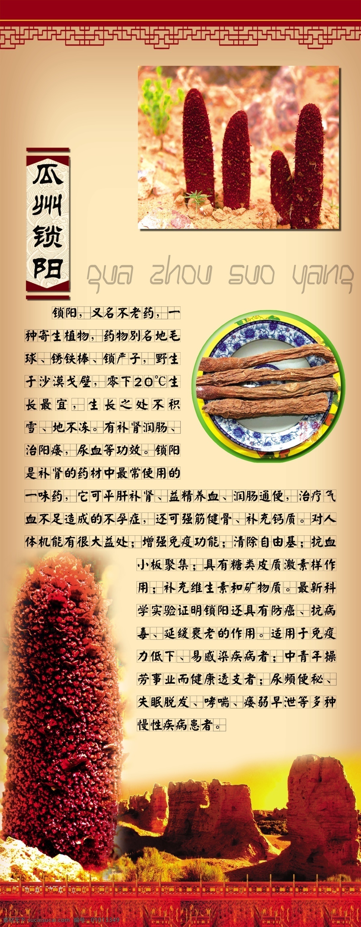 锁阳 瓜州锁阳 瓜州苁蓉 瓜州特产 瓜州 特产 特产锁阳 壮阳 滋补品 滋补 锁阳补品 补品 养生 锁阳城 广告设计模板 源文件