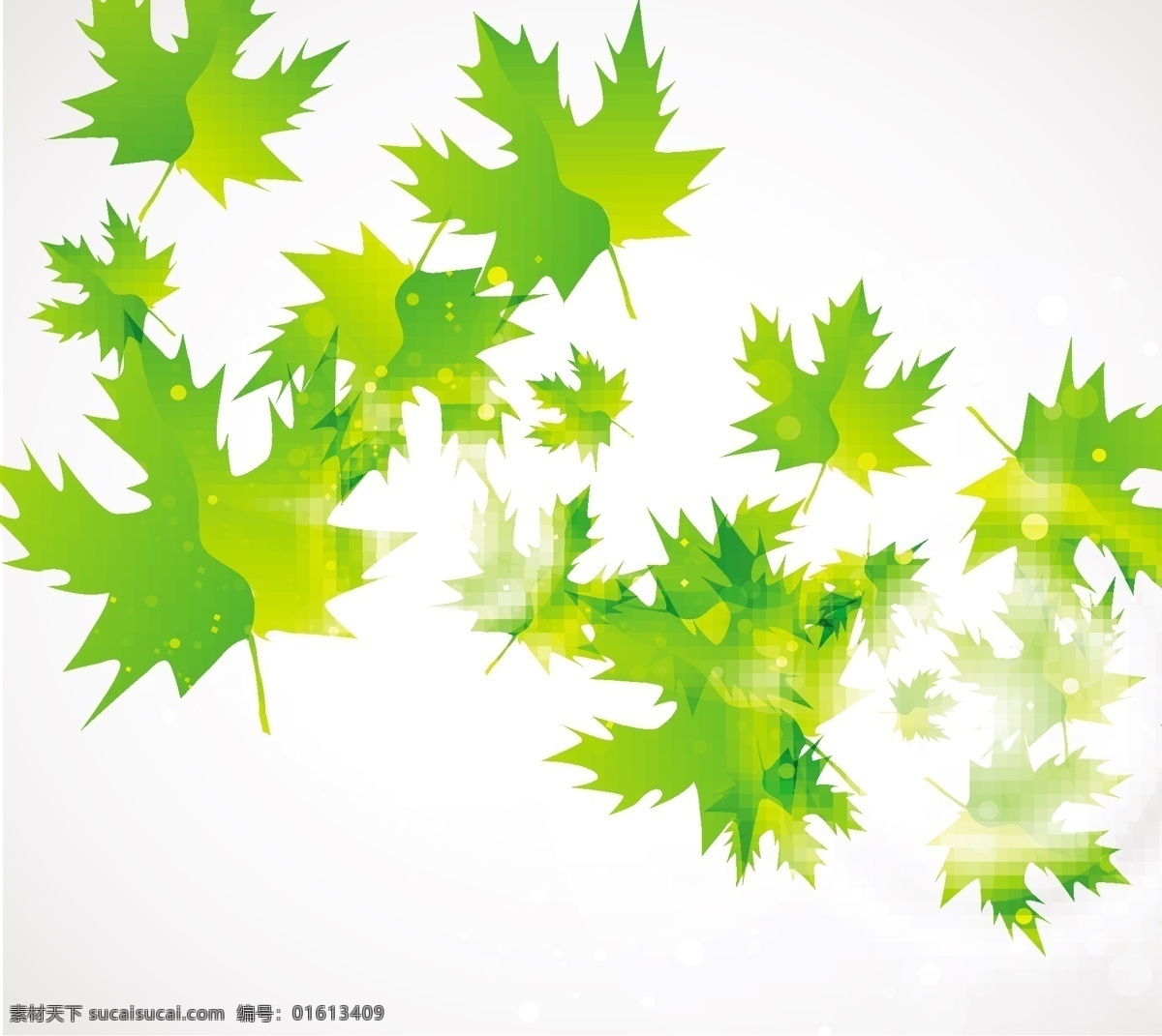 抽象 绿叶 背景 自由 向量 叶子 树叶 枫叶 绿色的叶子 矢量图