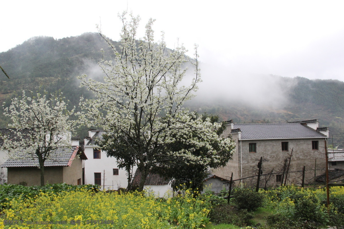 婺源风光 婺源风景 乡村自然风光 婺源 油菜花 婺源摄影 婺源游记 江西婺源 乡村摄影 古镇 小镇 乡村 田园风光 古徽州 风景 江西风景 婺源油菜花 旅游摄影 国内旅游