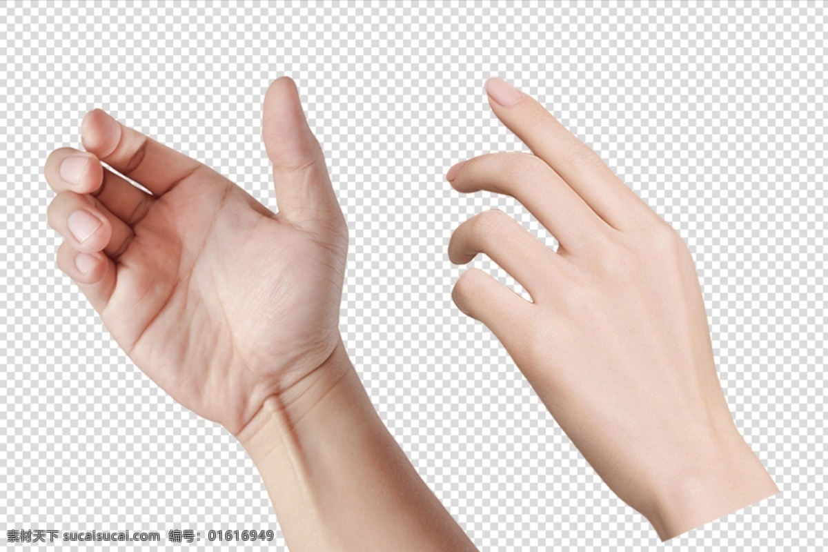 手 半握的手 手背 展示物品的手 指物的手 手素材