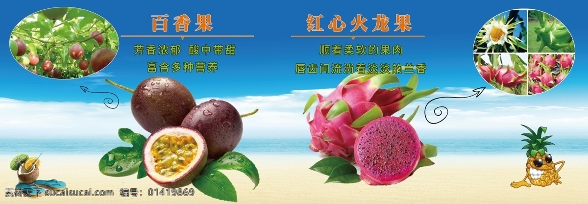 热带水果 百香果 红心火龙果 热带水果介绍 水果