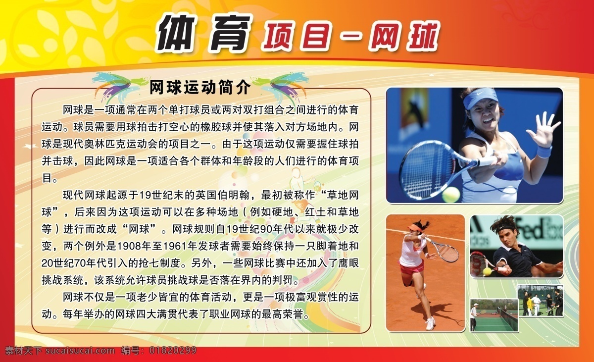 广告设计模板 其他模版 体育项目 网球 源文件 展板背景 展板 模板下载 网球展板 网球介绍 网球人物 其他展板设计