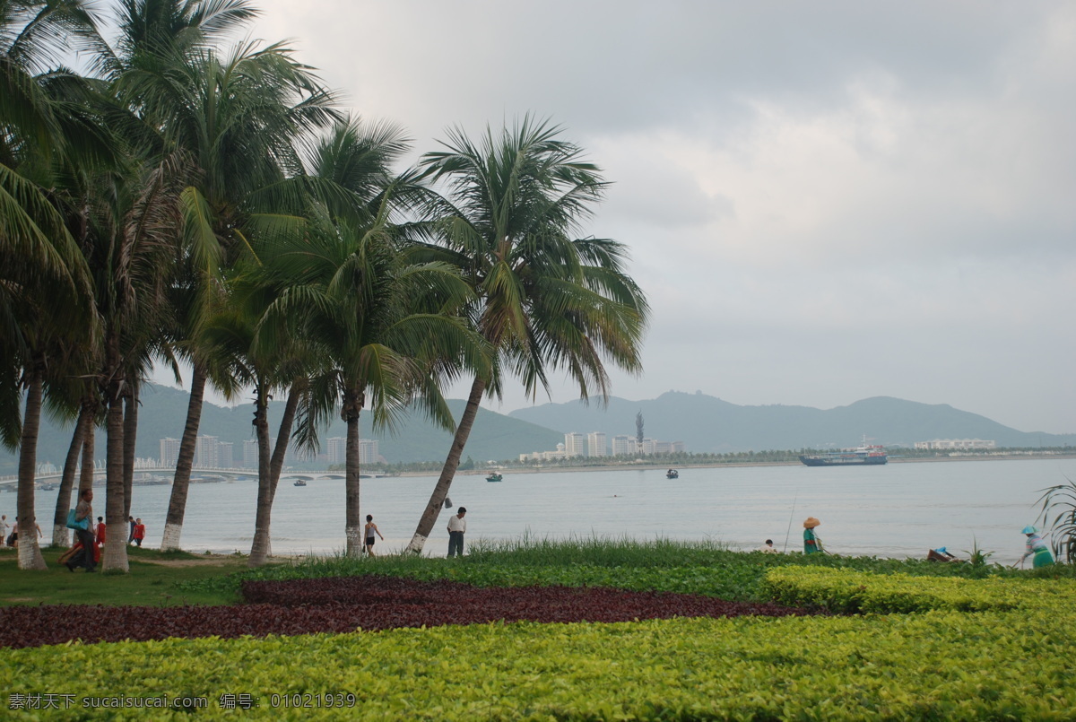 三亚湾美景 三亚 沙滩 大海 椰树 椰风海韵 三亚湾景色 自然风景 旅游摄影