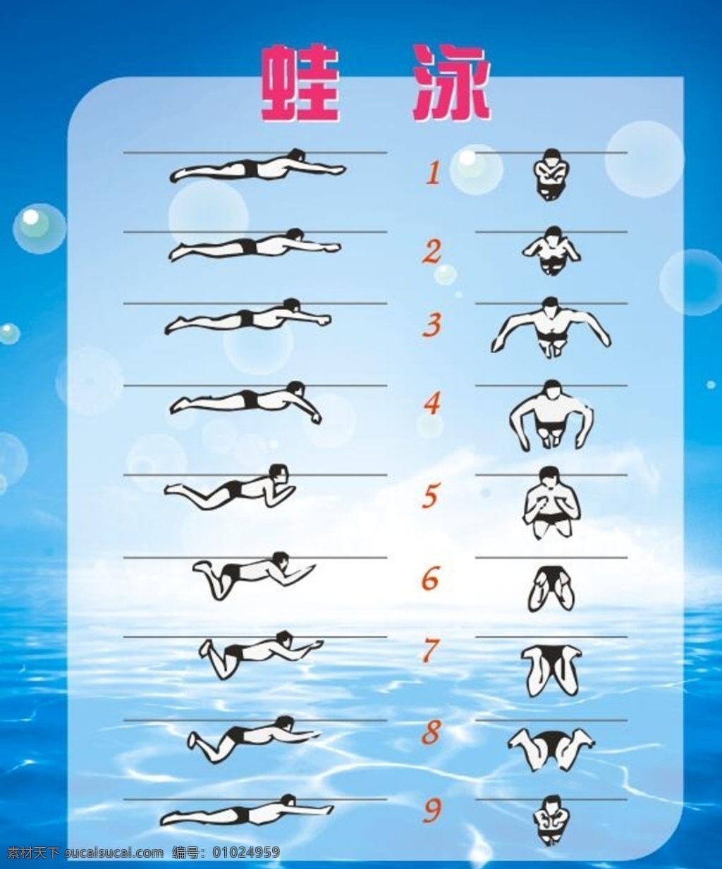 蛙泳 图解 蓝色 清新 水