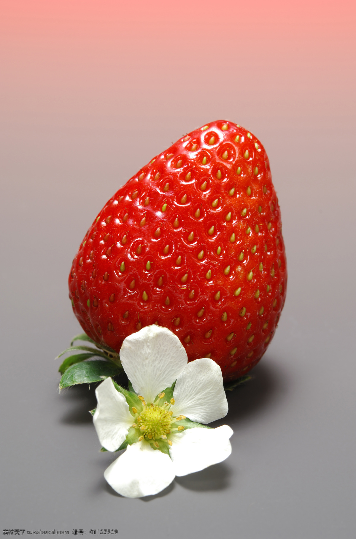 新鲜 草莓 新鲜草莓 红色草莓 草莓花 健康果实 绿色水果 可口的草莓 有机食品 有机水果 新鲜水果 草莓高清图片 摄影素材 水果 水果蔬菜 美食文化 蔬菜图片 餐饮美食