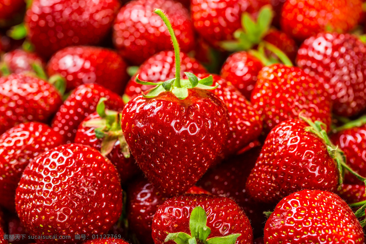 红色 草莓 果实 果子 水果 新鲜水果 水果背景 水果图片 餐饮美食