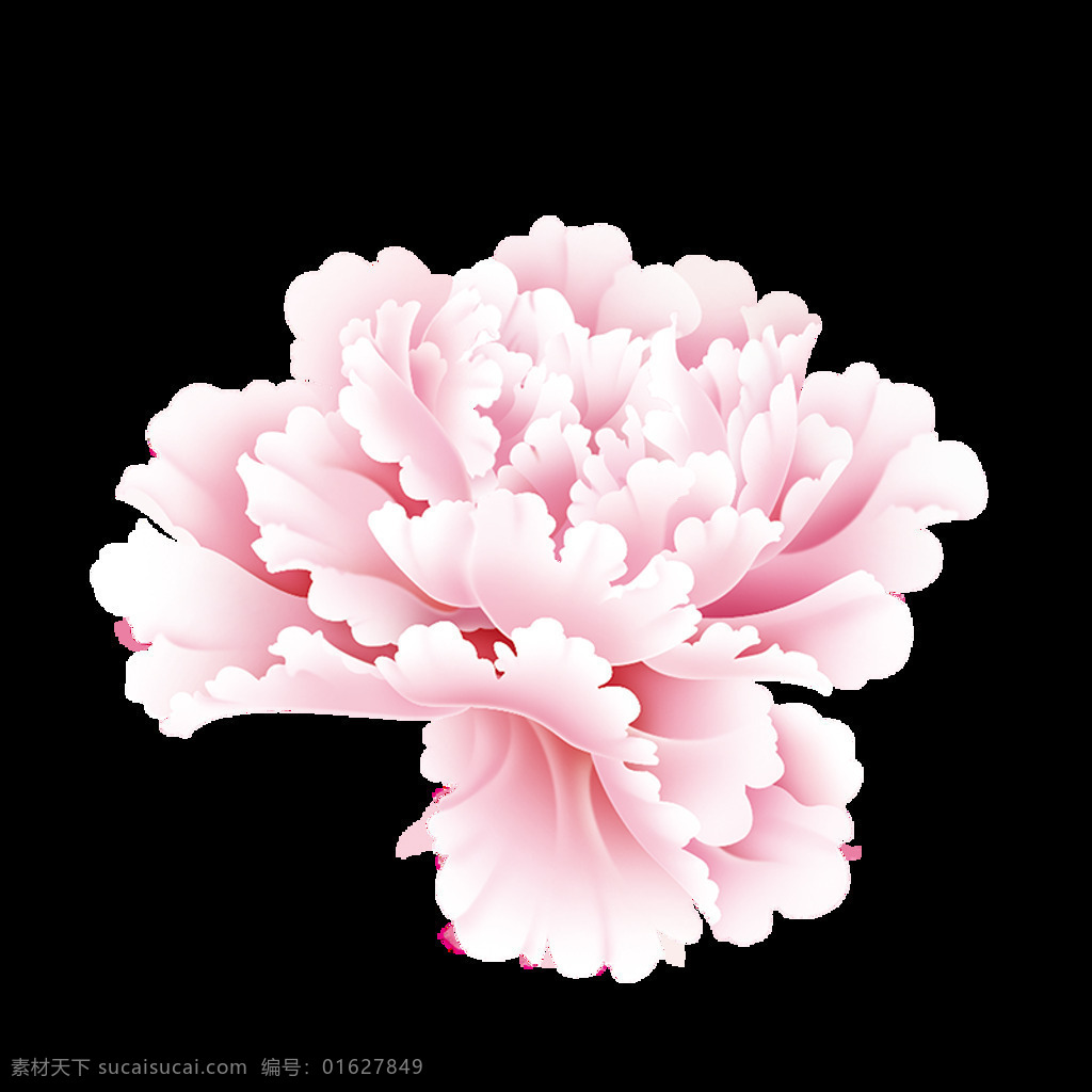 粉色 牡丹花 图案 粉色牡丹 中国风 国画 花朵素材 装饰图案 花朵艺术 花朵图案 水彩画 水墨画 古风素材 鲜花富贵 金边牡丹 牡丹国色