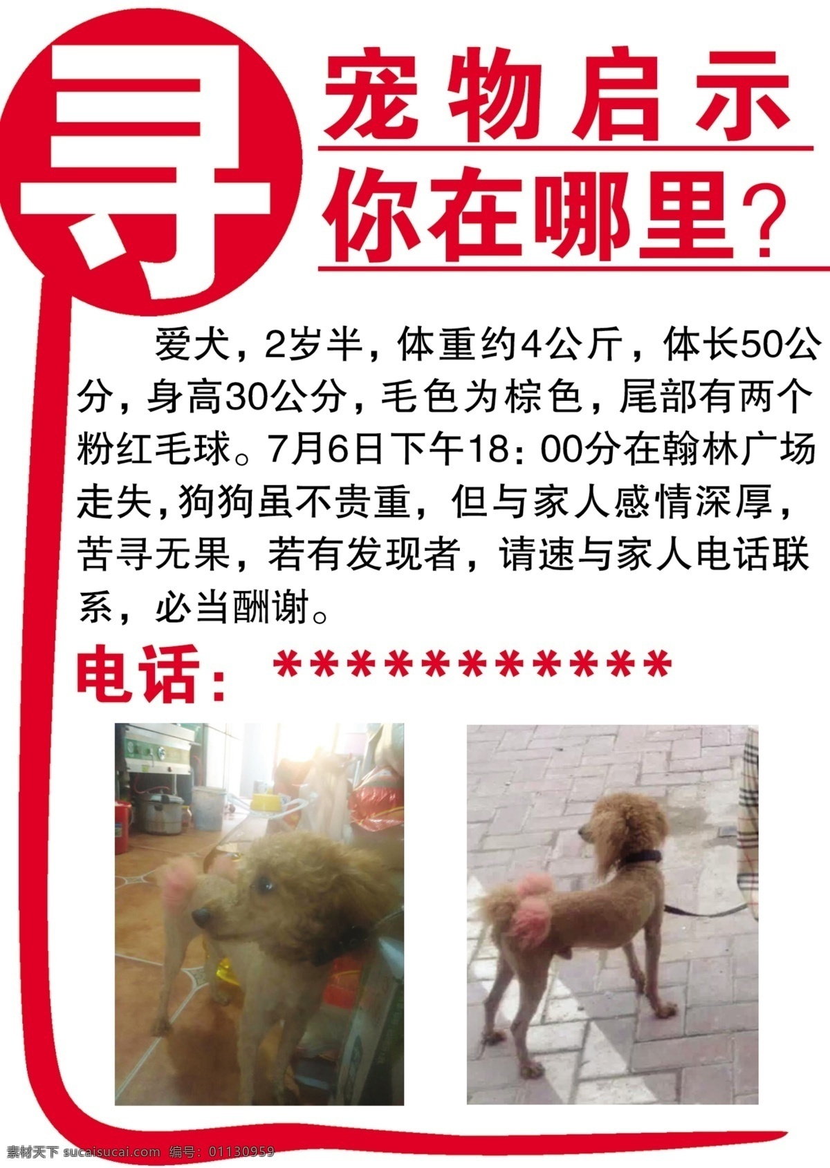 寻狗启示 宠物启示 寻物启示 寻狗 寻犬启示 分层