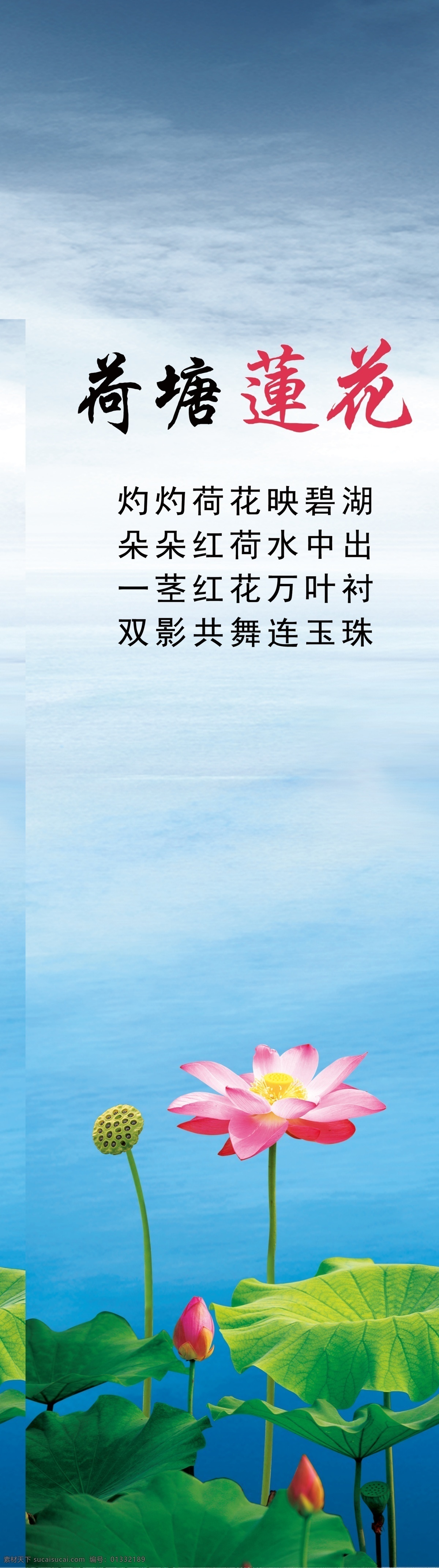 莲花 展板 广告设计模板 荷花 荷叶 蓝色 蓝色背景 绿叶 源文件 莲花展板 展板模板 其他展板设计
