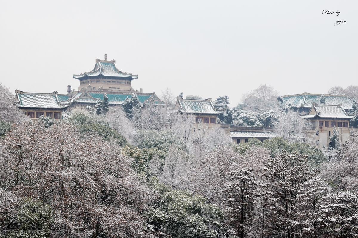 武汉大学 樱 顶 雪景 樱顶 冬天 血景 老图书馆 珞珈山 建筑园林 建筑摄影