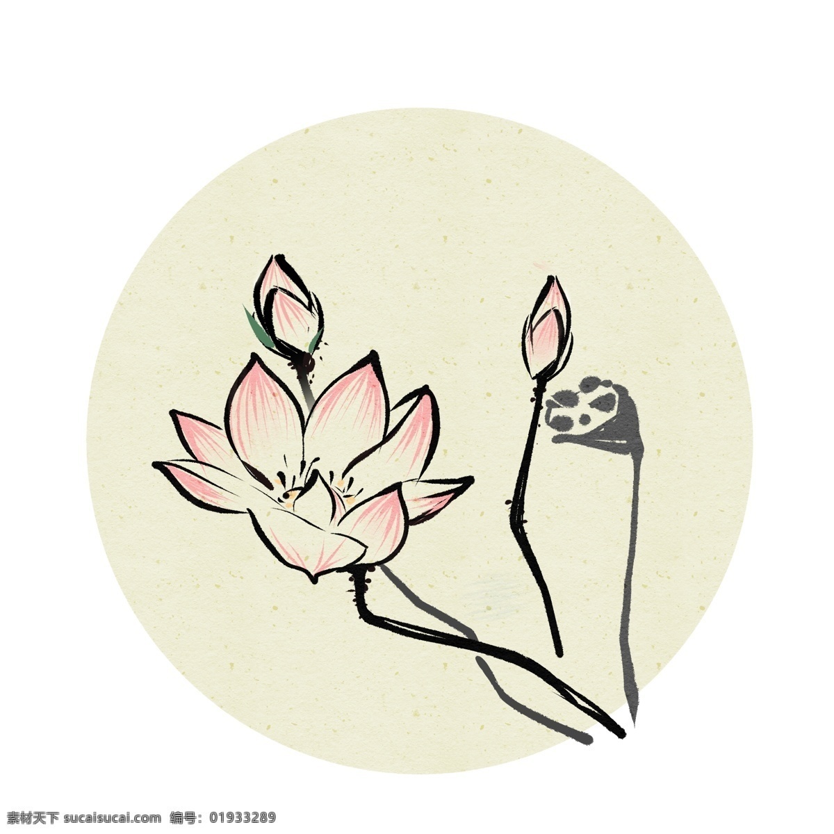 荷花中国画花鸟水墨画写意莲蓬白描花卉莲花素材图片下载-素材
