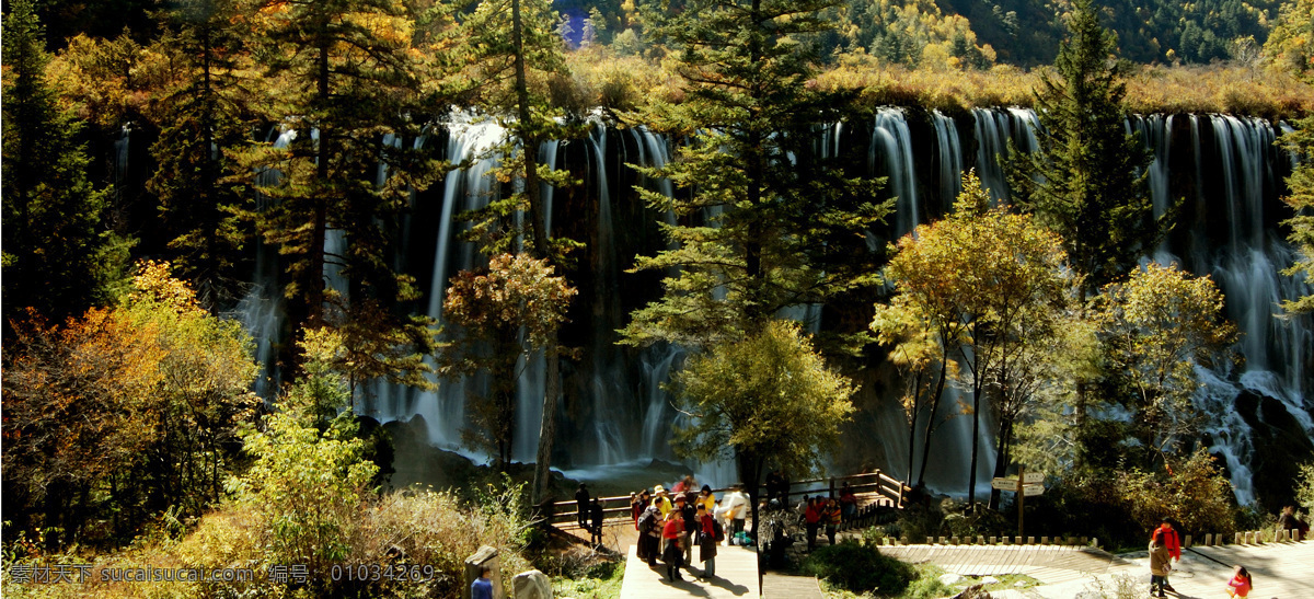 风光摄影 风景画 贺卡 精美壁纸 九寨沟 瀑布 秋色 诺 日 朗 自然风景 金色的树 自然景观 家居装饰素材 山水风景画