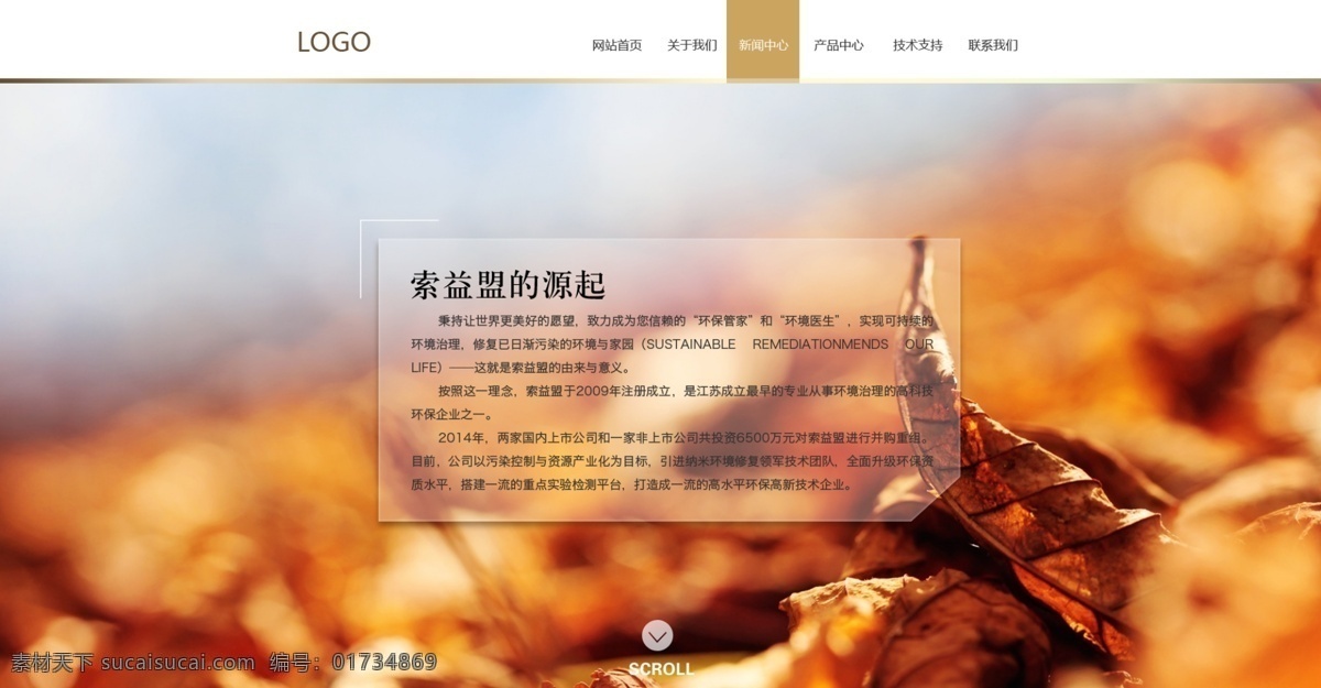 网站 单 页面 单页面 网站设计 秋季景色 橙色