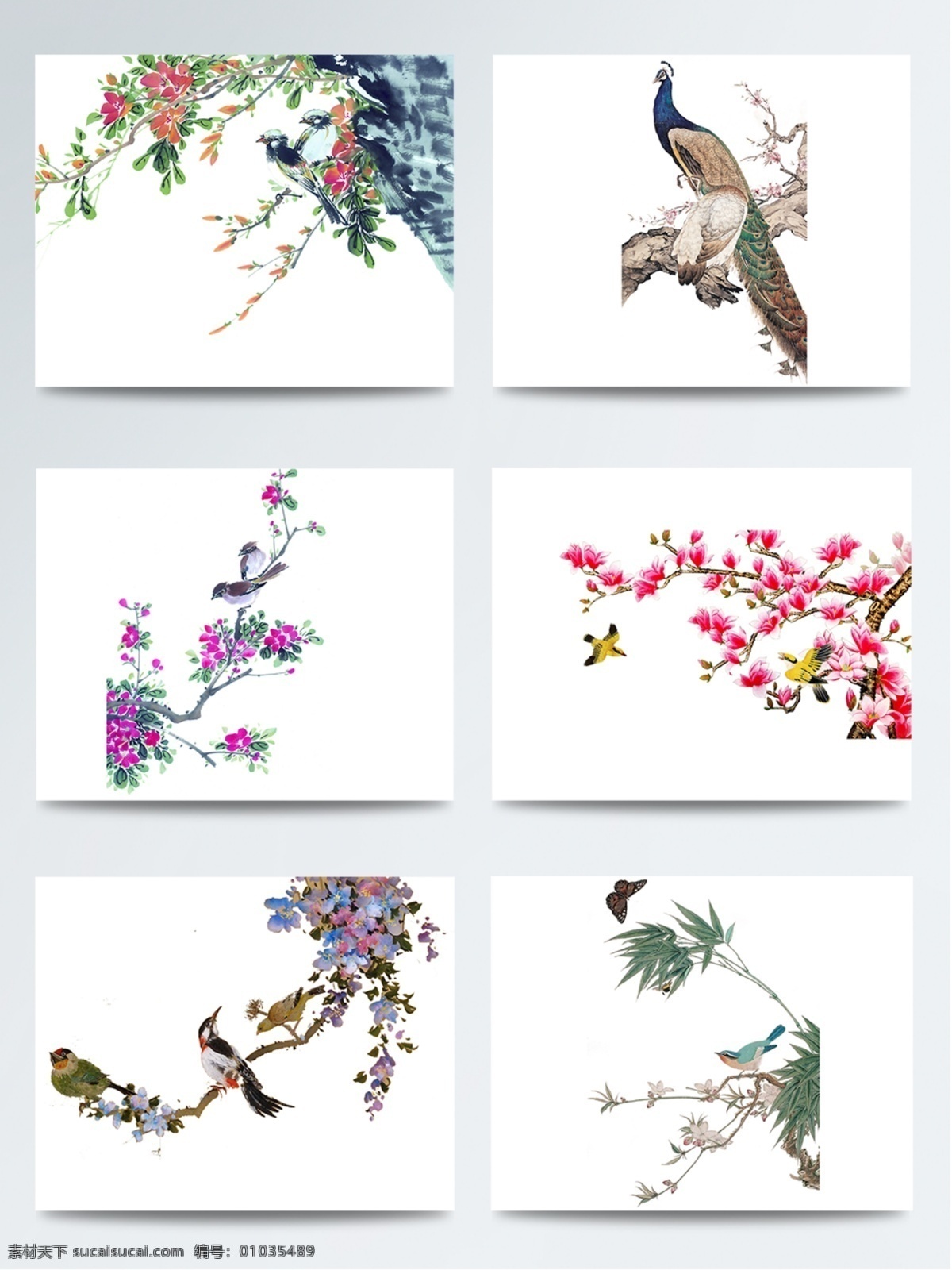 工笔画 桃花 鸟 桃花节 psd素材 中国画 粉色 桃花季 春季赏花 赏花节 三月赏花 桃花与鸟