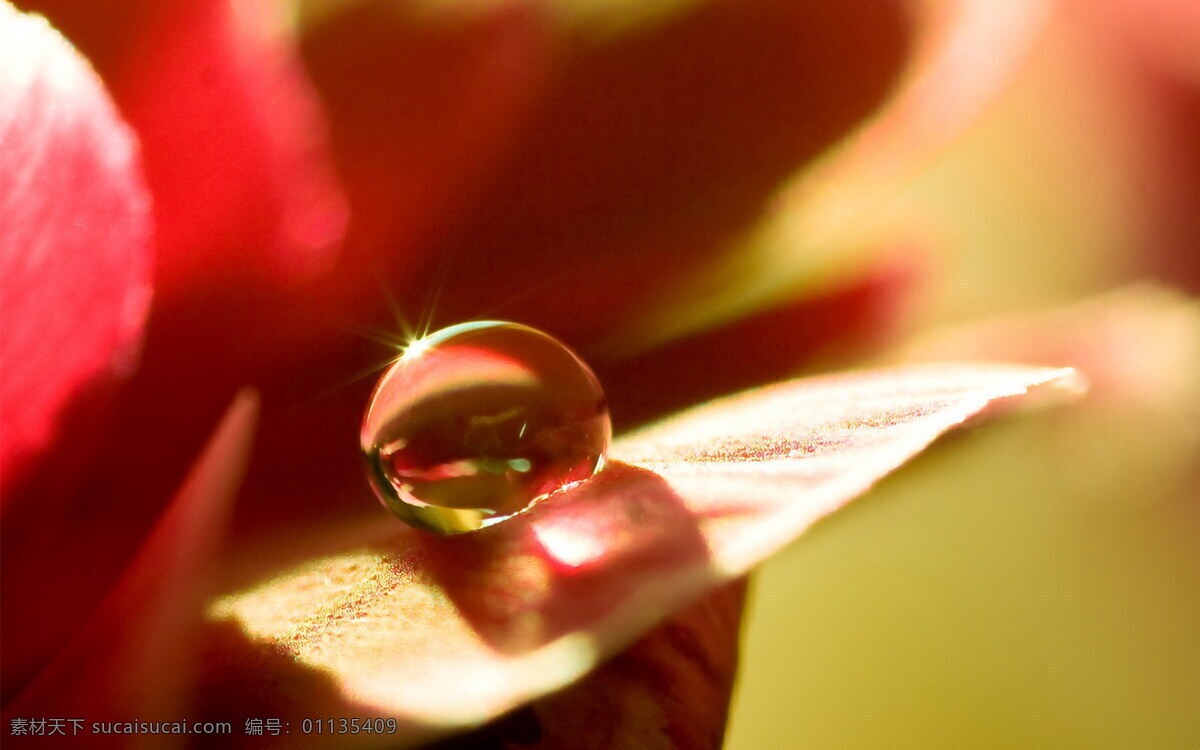 花卉免费下载 花朵 花朵花束 花朵图案 花朵组成的心 花卉 风景 生活 旅游餐饮