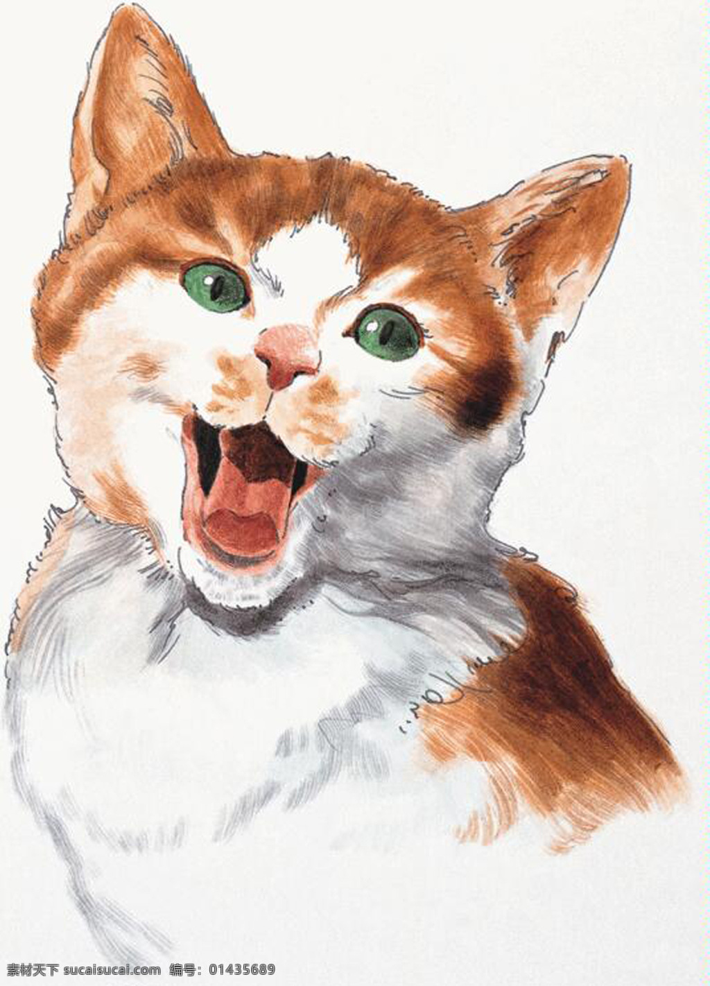 猫 家禽家畜 动物插图22 设计素材 动物插图 书画美术 白色
