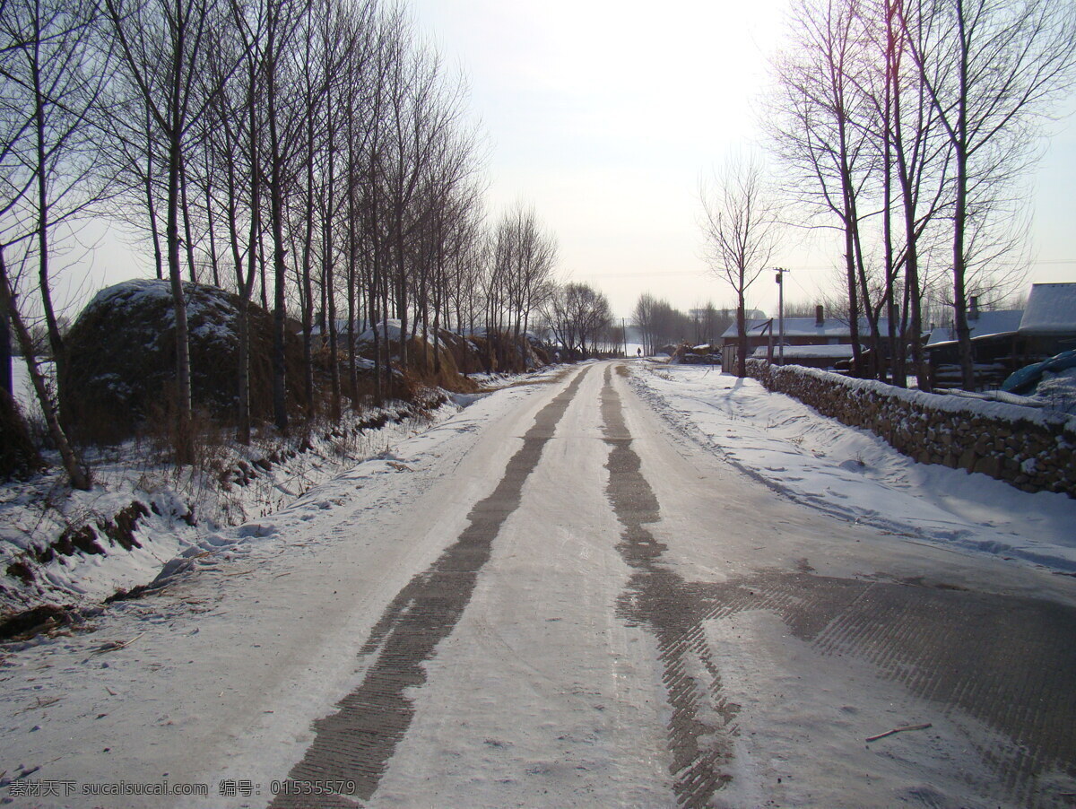 冬天的路 冬天的雪 东北的冬天 积雪的路 冰路面 东北的农村路 年 之前 旅游摄影 国内旅游