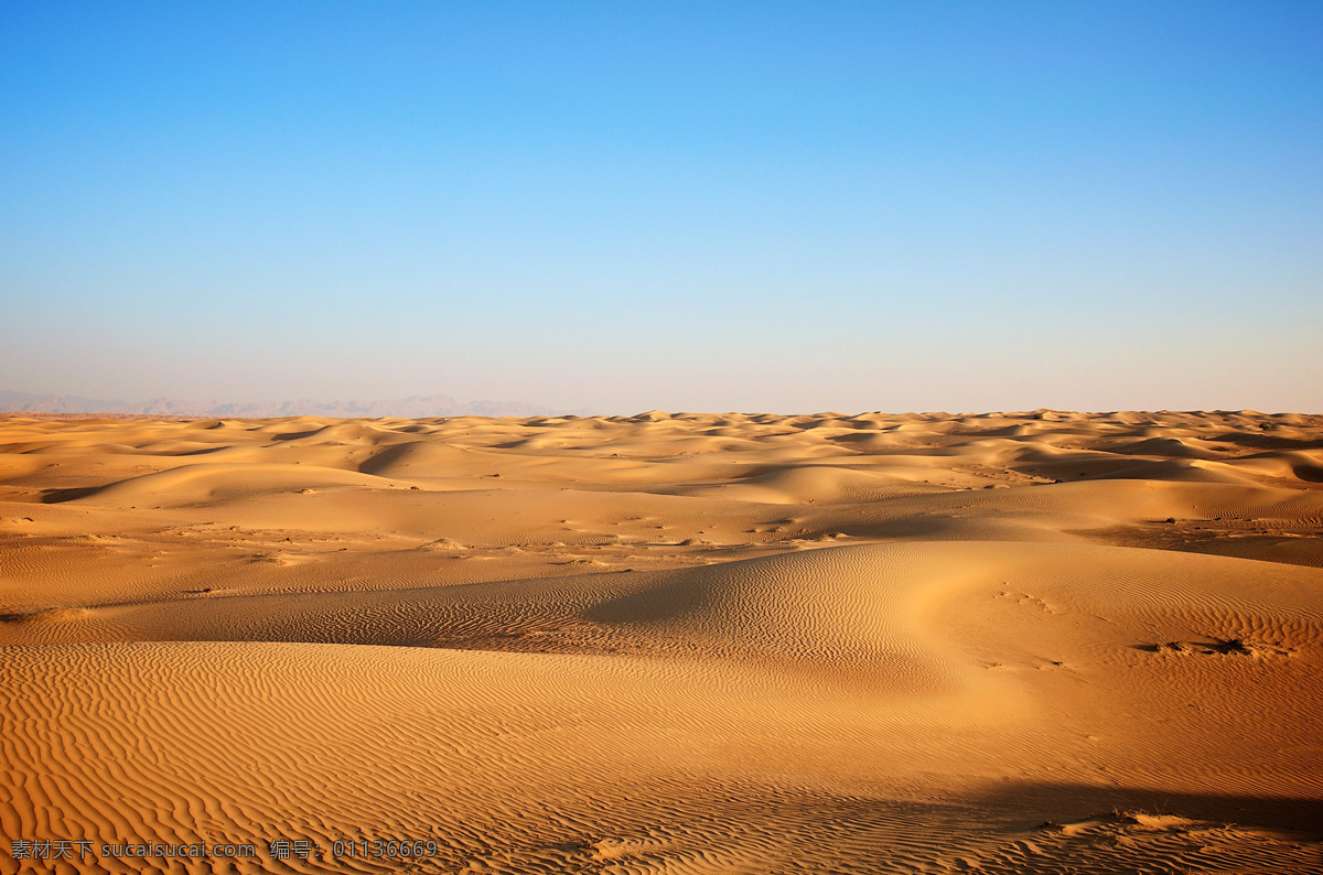 辽阔的沙漠 沙漠风景 沙漠 广阔的沙漠 连绵的沙丘 蓝天下的沙漠 蓝天下的沙丘 沙漠风光 沙漠景色 沙漠背景 沙漠美景 沙漠摄影 沙漠风光摄影 沙漠素材 旅游摄影 自然风景