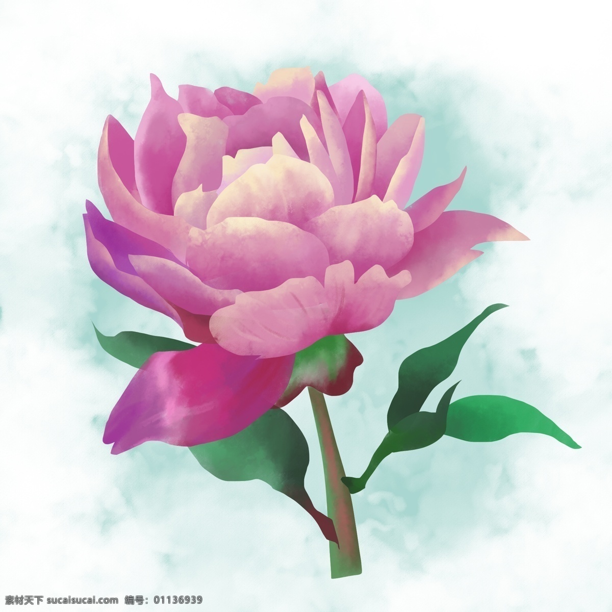 唯美 喜庆 清新 手绘 粉红 牡丹 商用 元素 植物 花朵 古典 富贵