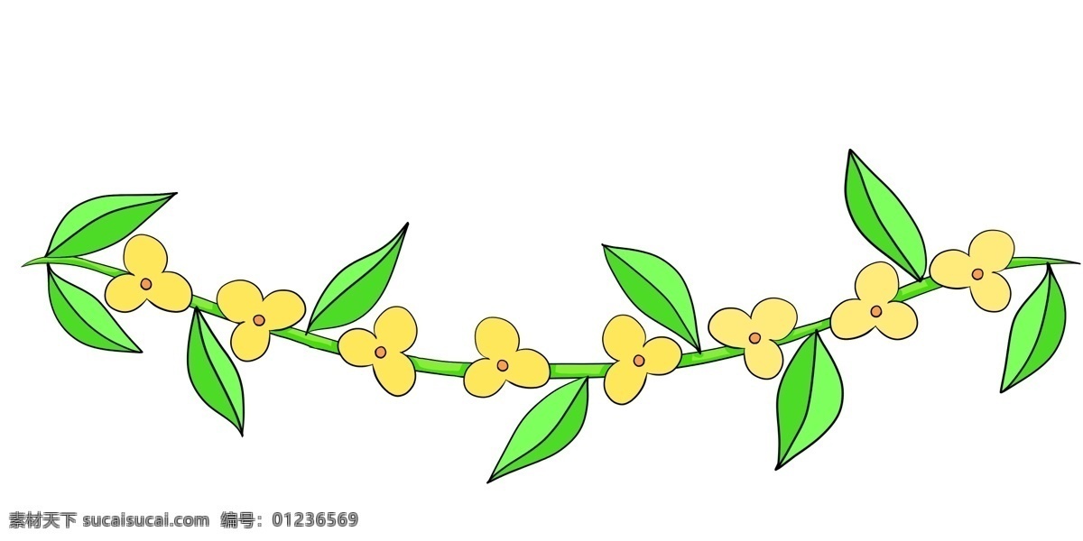 黄色 小花 分割线 插画 小花分割线 植物分割线 绿叶 花花 插图插画 分割线插画