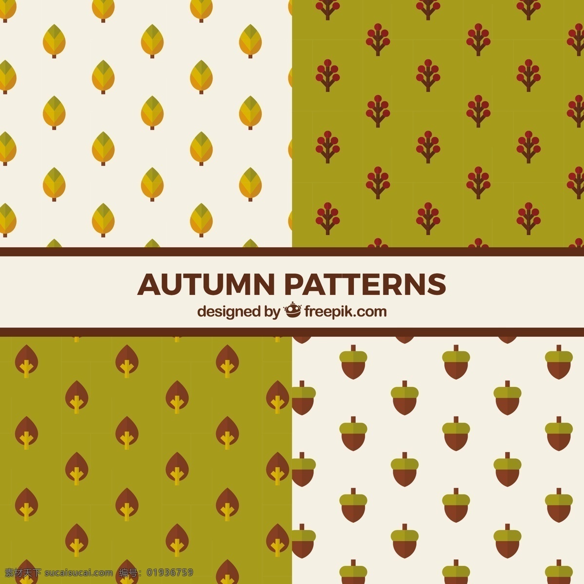 秋天的模式集 背景 图案 树叶 自然 壁纸 秋天 无缝的图案 颜色 自然背景 图案背景 温暖 无缝 树枝 秋天的树叶 季节 秋天的背景