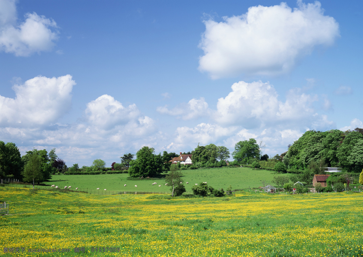 欧洲田园 欧洲田园风光 蓝天白云 草地和羊 树与房子 欧洲风光 自然风景 自然景观