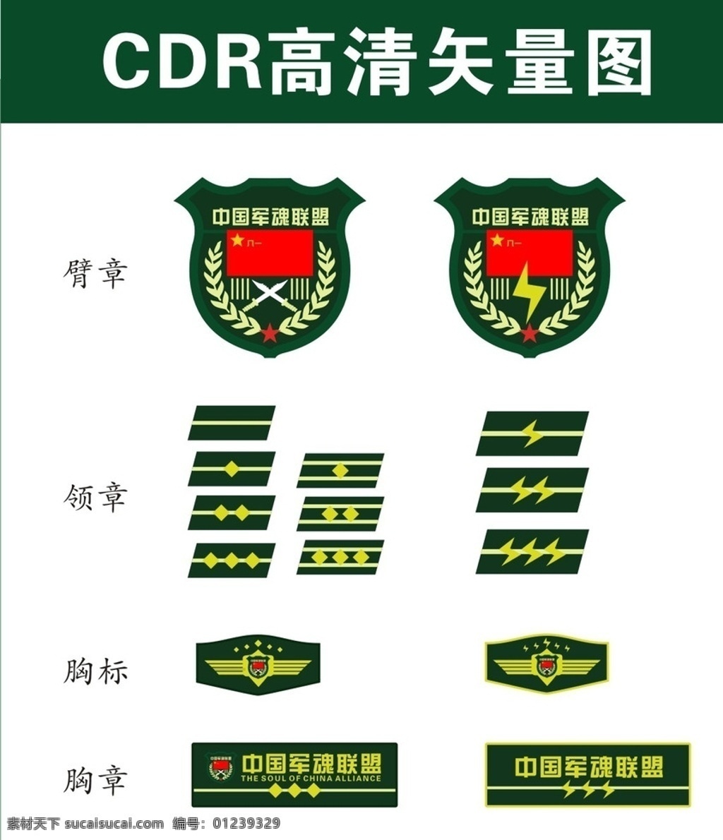 军魂教官配饰 军标 臂章 胸标 军用 军魂 开封军魂 标志图标 企业 logo 标志