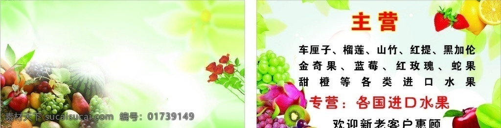 名片 个人名片 公司名片 名片模板 名片素材 模板 广告 个人 明信片 背景 名片背景 简单 简洁 简洁名片 销售名片 配件 产品名片 矢量 矢量名片 横版 竖版 创意名片 水果 水果名片 特产名片 鲜果名片 水果店名片 水果摊名片 进口水果名片 果园名片 果农名片 水果批发名片 名片卡片