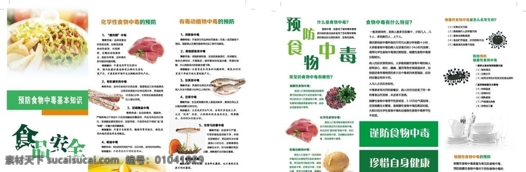 食物中毒 折页 宣传单 海报 dm宣传单 食品安全 健康 手册 三折页