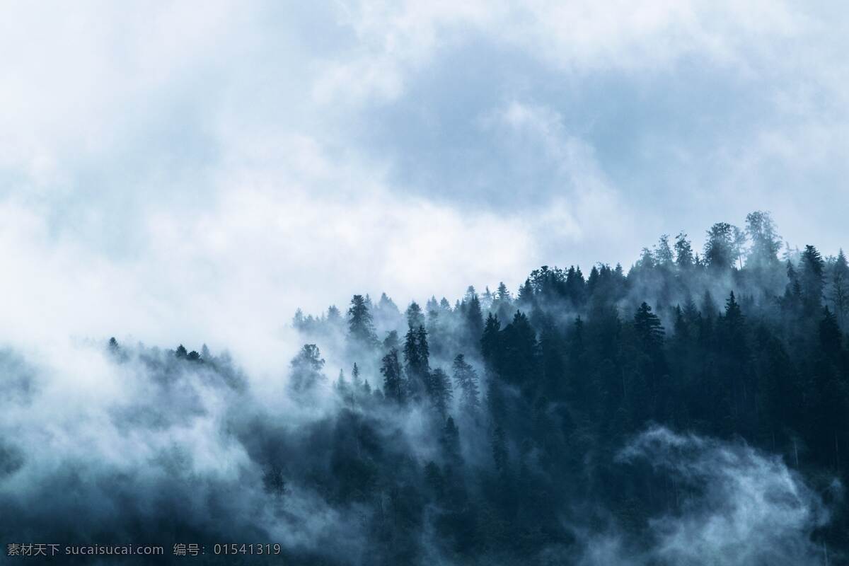 云雾袅绕 云雾 森林 白云 青蓝色 背景 合成素材 壁纸 设计素材 自然景观 自然风景