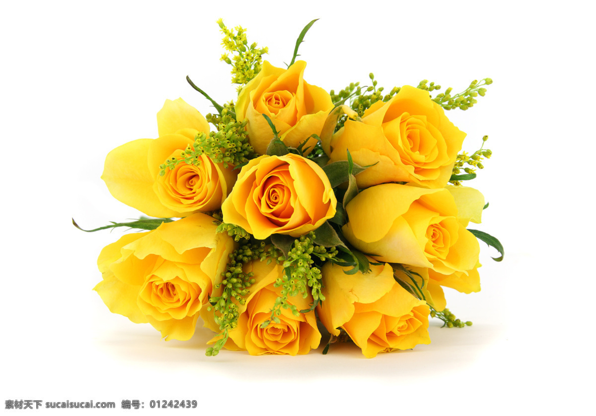 黄色 玫瑰 手 捧 花 花卉 花朵 花草 唯美