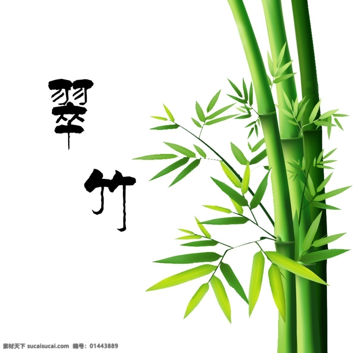 竹子 psd素材 草地 风景素材 公益 平面招贴设计 竹子素材 植物 psd源文件