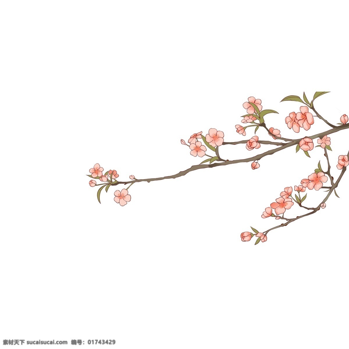 粉色 花枝 图案 元素 树枝 花朵 粉色花枝 花枝图案 简约 创意元素 手绘元素 psd元素 免抠元素 桃花