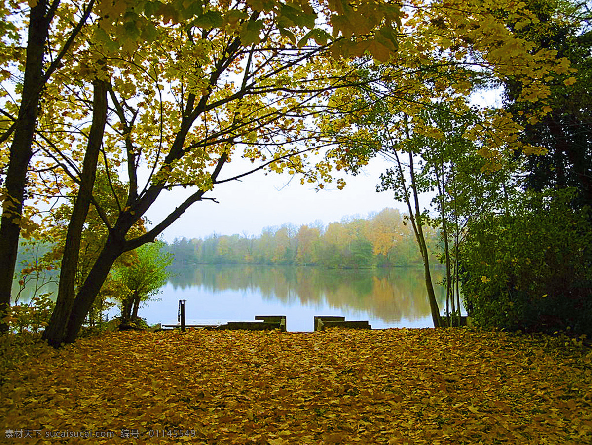 秋天风景素材 秋天 风景 湖边 大自然 黑色